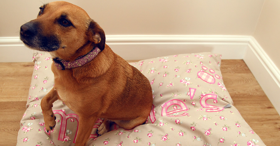 Maisies Pet Products
