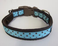 classic polka dot brown on aqua collar
