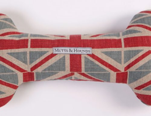 Handmade Pet Products to Treat your Pet