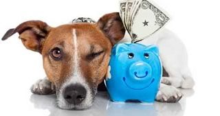 save money
