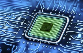 dog microchip